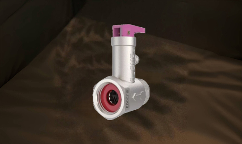 Safety Pressure Relief Valve :Provide safety protection for the water heater system